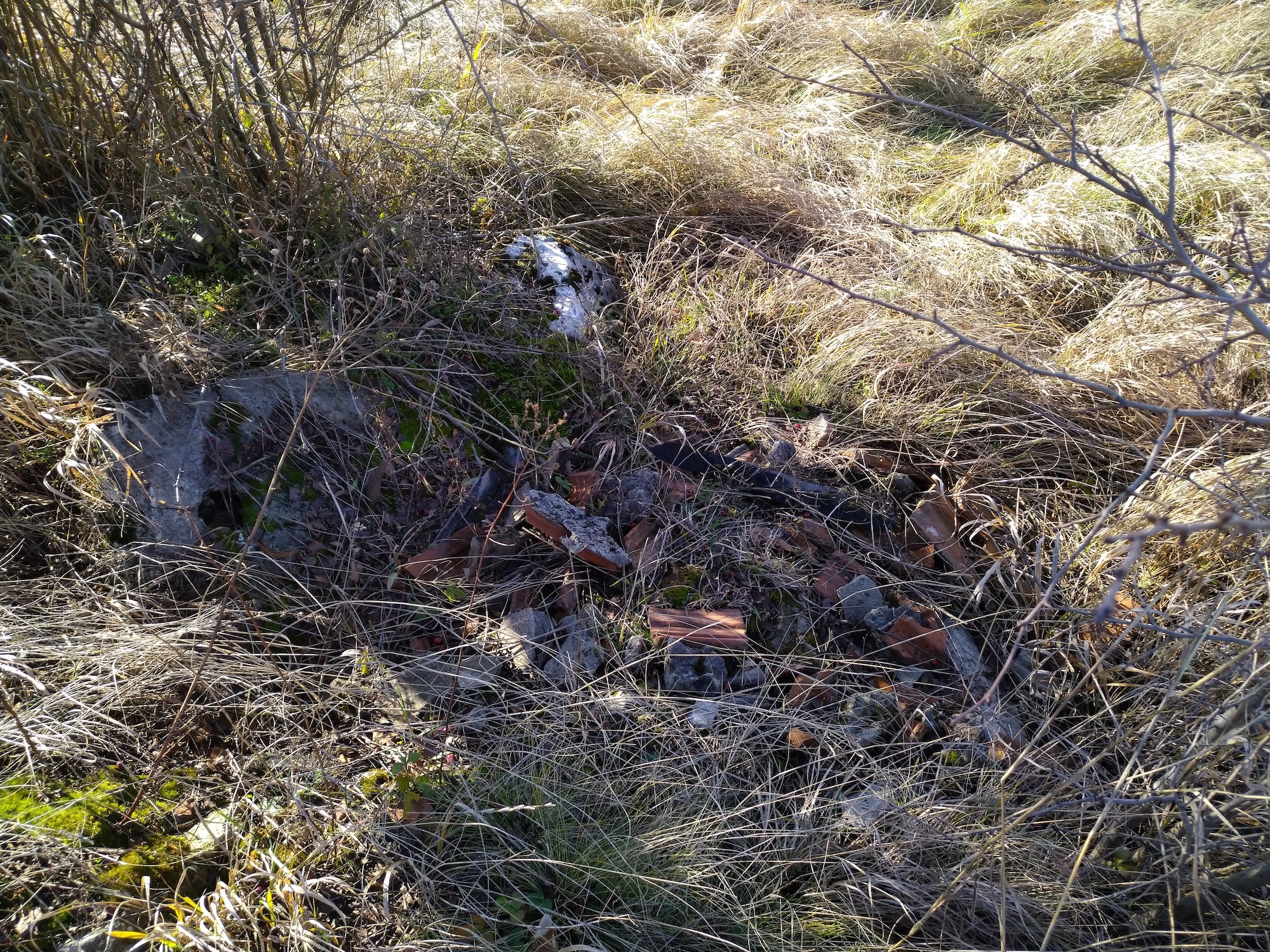 Avenul Debutului (Avenul Scheletelor) - Image 3